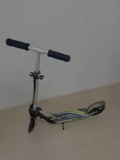 Item thumbnail for item 501892a8-9f2e-4301-a90f-aa0ee0864661