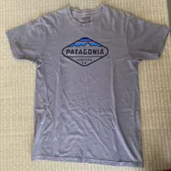 PATAGONIA スリムフィット Tシャツ M グレー