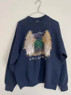 【希少】90s vintage FRUIT OF THE LOOM スウェット