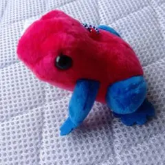 ぴょんとカエル ぬいぐるみ マスコットキーホルダー　イチゴヤドクガエルのサムネイル