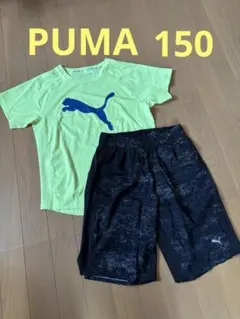 PUMAプーマ★150 イエローとブラック上下2点セット
