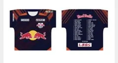 RB大宮アルディージャ　プレイヤーズクッション　全選手