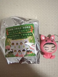 小波津志 着ぐるみキーホルダー 辰 レア PSYCHICFEVER 最安値出回りなし 小波津志 着ぐるみキーホルダー 辰 - メルカリ