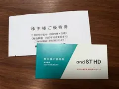 アンドエスティHD 株主優待券 2,500円分（¥500x5枚）