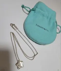 ティファニーのスター（ポインセチア）ネックレス（シルバー925）