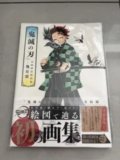 鬼滅の刃 無限列車編 DVD 画集幾星霜 パンフ 入場者特典 キーホルダー