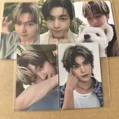 ゼベワン　メテュ　マシュー　トレカ　コンプ　レオ　ラキドロ