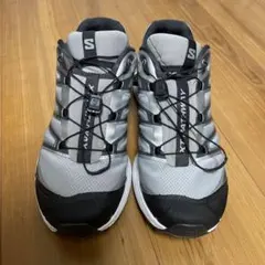 国内EXCLUSIVE】 Salomon XT-PATHWAY GTX 27 - メルカリ