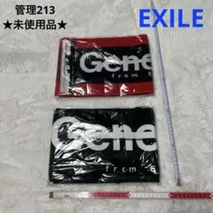 ★未使用★Gene from E & Generation タオル 2枚セット