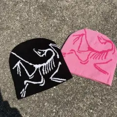 ビーニー　ニット帽　セット　ARC’TERIX