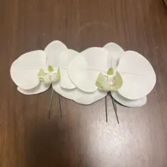 ホワイト胡蝶蘭の花ヘッドドレスと水引のセット