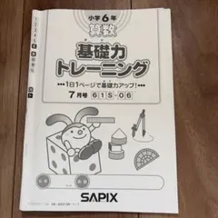 2026年受験　SAPIXサピックス 6年算数 基礎力トレーニング全12冊 2026年最新】サピックス 基礎力トレーニング 6年の人気アイテム - メルカリ