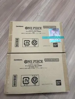 チャンピオンシップセット2022 ナミ&キッド セット販売