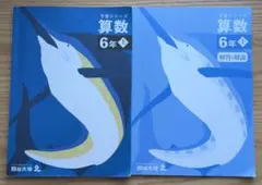 2026年最新】予習シリーズ 6年の人気アイテム - メルカリ