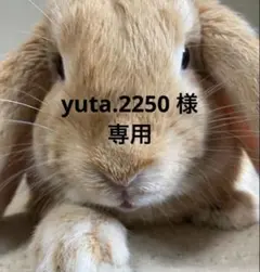 yuta.2250 様専用　2セット目