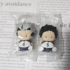 ハイキュー!! ちゃびちゃび 木兎、赤葦2点セット