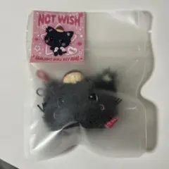 NCT WISH wishdoll リク クリ ペンライト キーリング - メルカリ