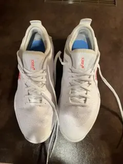 Item thumbnail for item 0c9a5017-e3c0-47a4-b930-330e01d6fb41