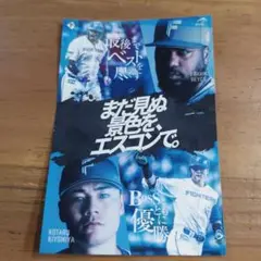 北海道日本ハムファイターズ ステッカー フランミルレイエス 清宮幸太郎