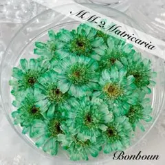 み~ ❁オ―ダ―ストップ中❁様 リクエスト 2点 まとめ商品