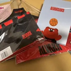 即購入⭕️アルバルク東京　ファンクラブ特典　セット