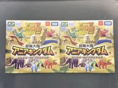 アニア スペシャル DVD 2025 2枚セット