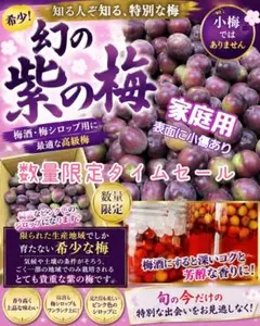 和歌山県産　希少品種♥️紫の梅‼️とよす♥️ 和歌山県産 希少品種♥️紫の梅‼️小玉サイズ 3kg みかんキング 家庭