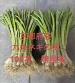 専用 中生玉ねぎ 農薬不使用 80 size - メルカリ