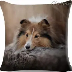 Item thumbnail for item 7bdc908f-0f30-4cec-a432-c49a6efd46a1