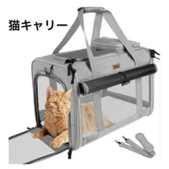 Item thumbnail for item c3373569-b19c-4422-b608-f721053450e3