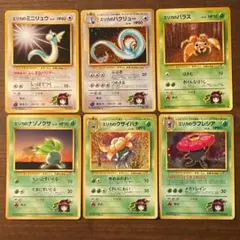 【旧裏】エリカのハクリュー エリカのラフレシア 進化系６枚セット まとめ売り