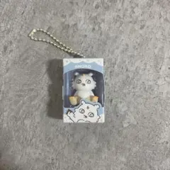 ちいかわ あのこ チョコボックス