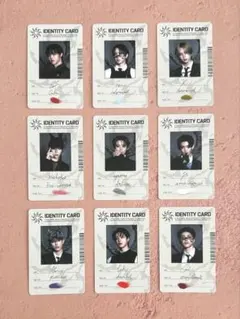 &TEAM 月狼 通常盤 IDENTITY CARD トレカ コンプ セット