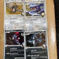 ムクホークFBガブリアスCマニューラGアブソルG