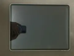 12.9インチiPad Pro(第3世代) 256GB スペースグレイ