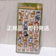 Item thumbnail for item 08d2f087-1753-47b9-9eaa-a67d8deb5fa1