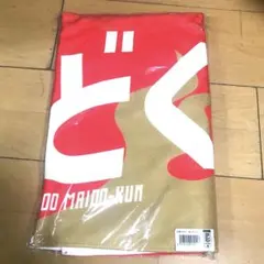 新品 Bリーグ 大阪エヴェッサ 2024-25まいどくん 応援タオル