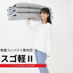テイジン PRO CLEAN 敷布団 シングル100×210 グレー 国産 - メルカリ