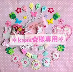 ✽kaaa✿様専用ページ✽