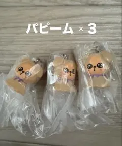 SKZOOめじるしアクセサリー パピーム PuppyM 3点 スキズ