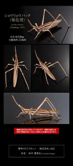 はな様 リクエスト 2点 まとめ商品