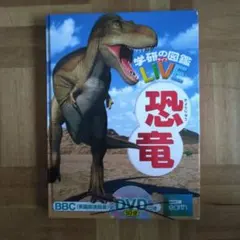 Item thumbnail for item 4621e730-c071-4939-af5b-c996ef31d92c