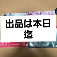 翌日発送】RGデスティニーインパルス/ソード2/ブラスト2 完成品 3点