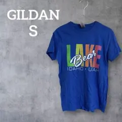 ✨美品✨GILDAN LAKE Bear IDAHO UAH Tシャツ【Ｓ】