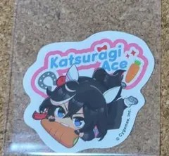 ウマ娘 カツラギエース