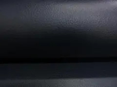 Item thumbnail for item e1547d6f-245e-4b36-921b-9cc00c3ee6c3