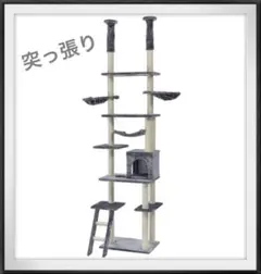 Item thumbnail for item 8e7ee491-ba04-4dff-a6ab-44828a02a69d