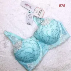 E75 トリンプ　プレミアム　レッドレーベル　ブラジャー