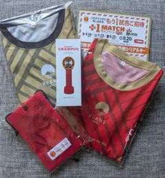 名古屋グランパス ハンディファン 鯱の大祭典 ユニフォーム FP GK 2枚①