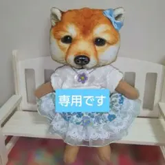 コヤンイサムチョン＊薄型ぬいぐるみチャーム[茶のわんちゃん